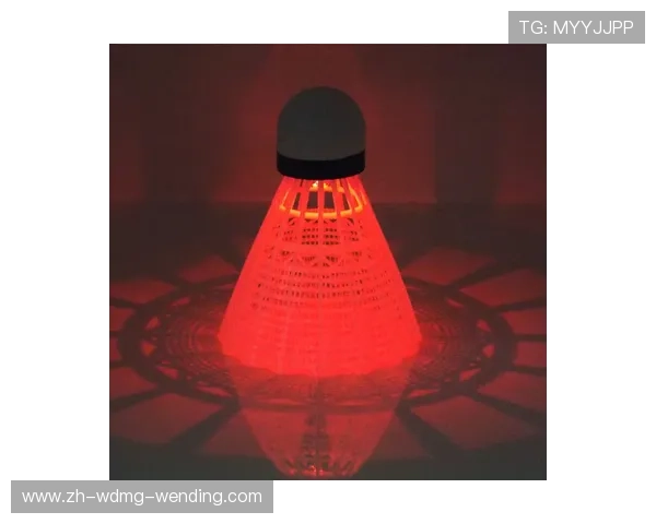 自制夜光羽毛球