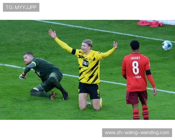 金元时代德甲豪门数量变化背后的资本运作与逻辑分析