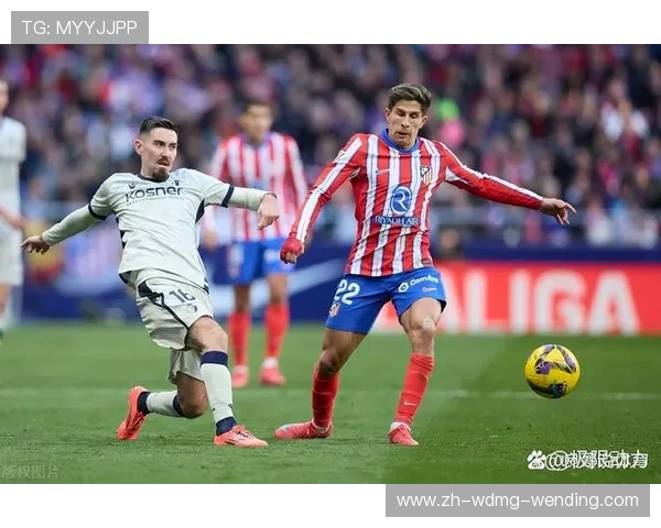 西甲联赛体育图集汇总：西甲联赛的体育图集与赛季精彩瞬间